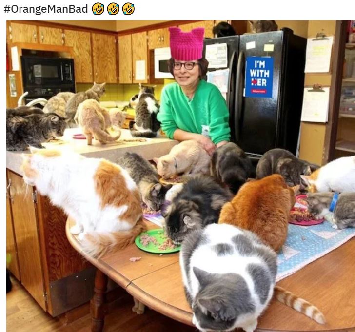cat lady pussy hat.JPG