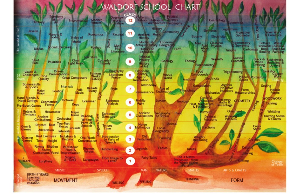 Curriculum-Chart-Main-Lessons.jpg