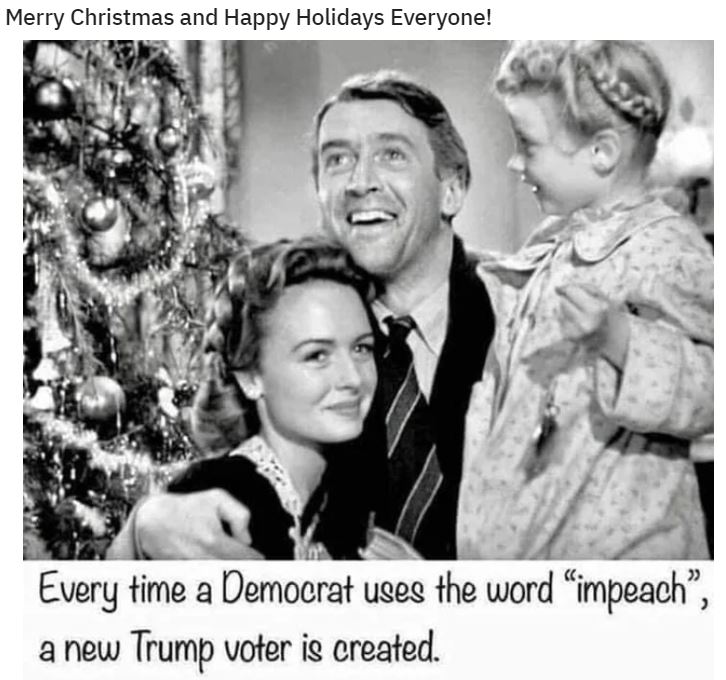 democrat impeach voter.JPG