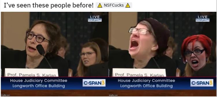 deranged democrats.JPG