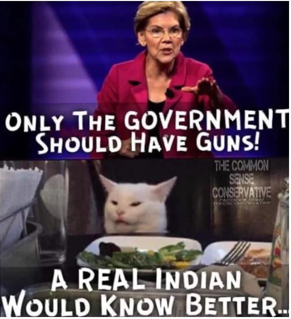 elizabeth warren indian.JPG