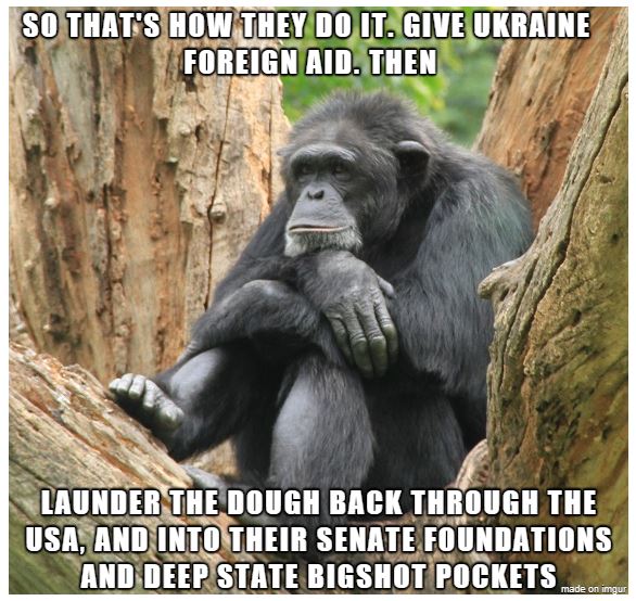 gorilla ukraine
