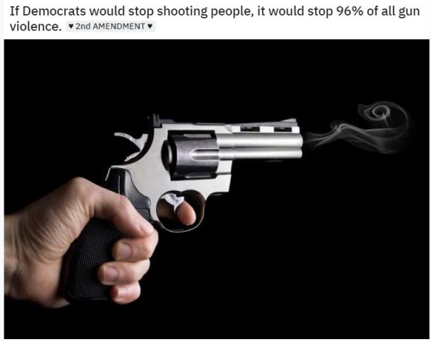 gun control.JPG