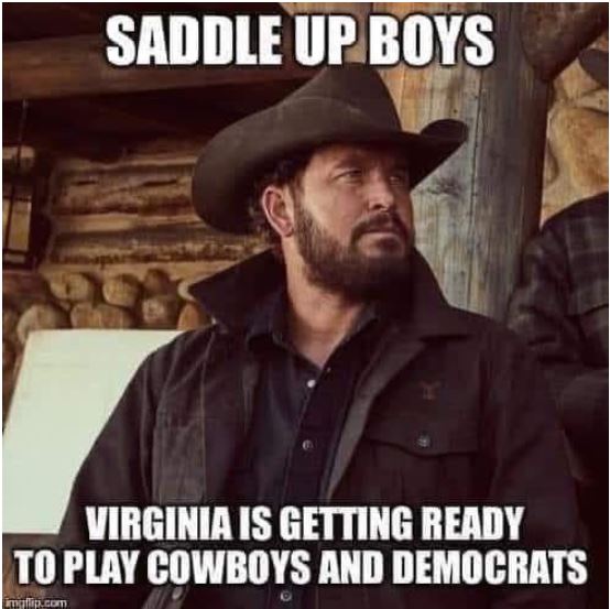 gun control virginia.JPG