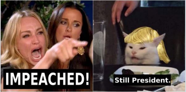 impeach trump cat.JPG