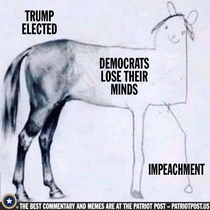impeachment horse.jpeg