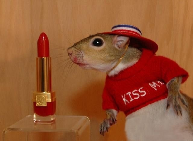 kiss me mouse lisa page.jpg