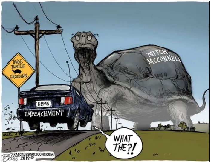 mitch mcconnell turtle.JPG