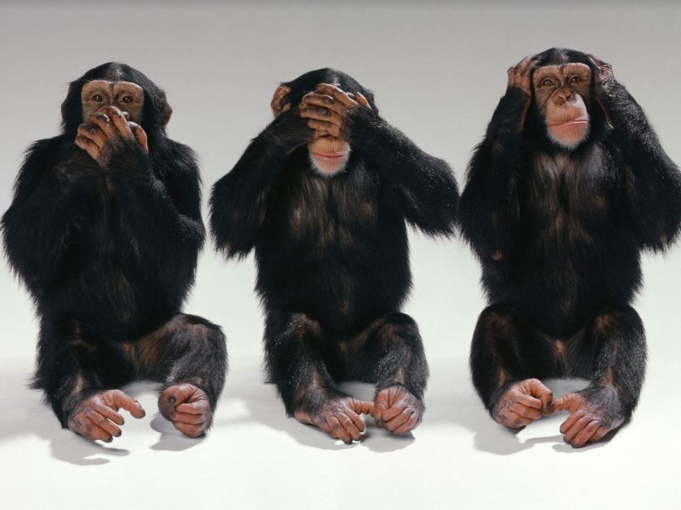 monkeys.JPG