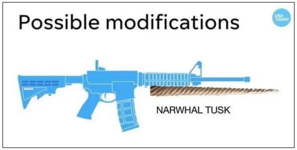 narwhal tusk 2.JPG