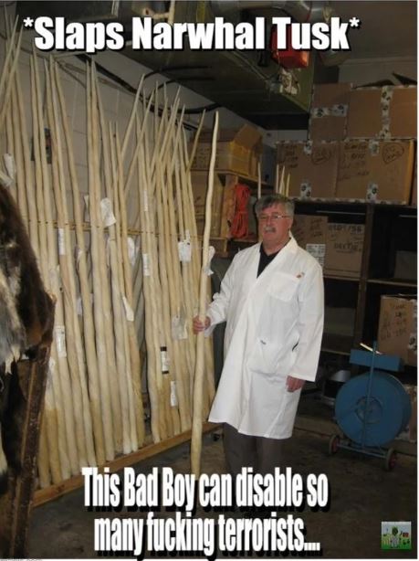 narwhal tusk collection.JPG