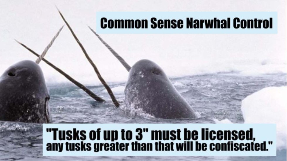narwhal tusk control.jpg