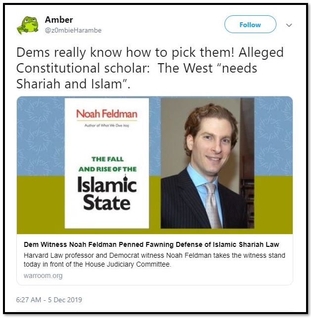 noah feldman.JPG