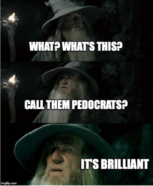 pedocrat democrat.JPG