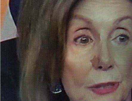 pelosi nose.JPG