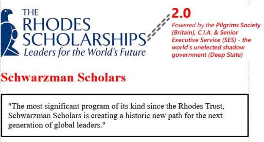 schwarzman scholars 2