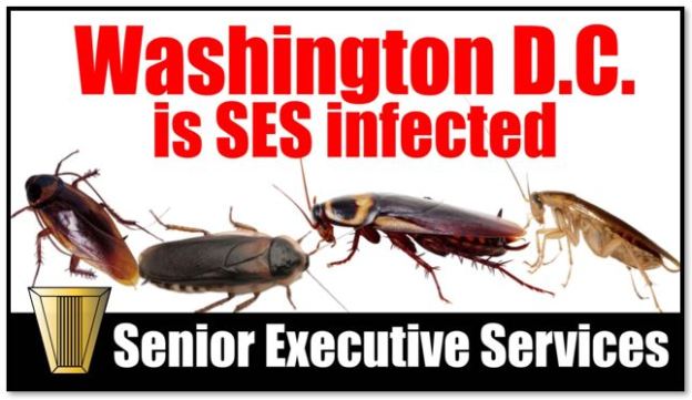 ses roaches framed.JPG