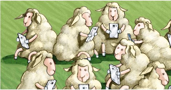 sheep phones.JPG