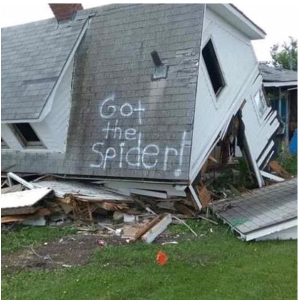 spider.JPG