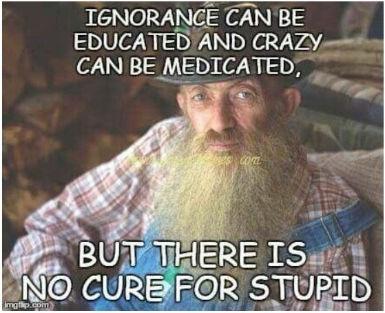 stupid.JPG