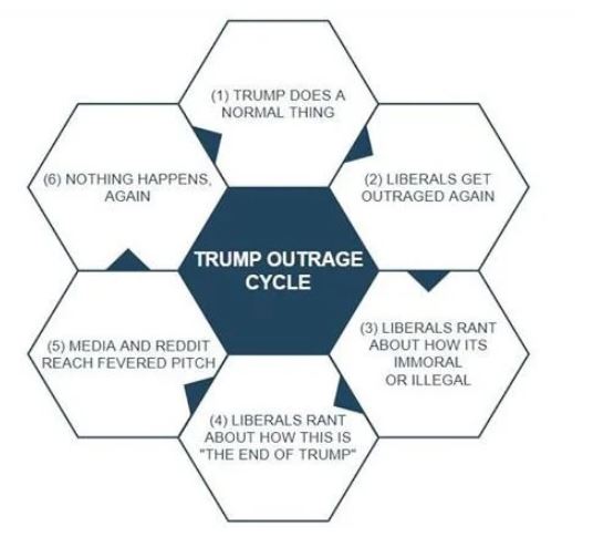 trump cycle