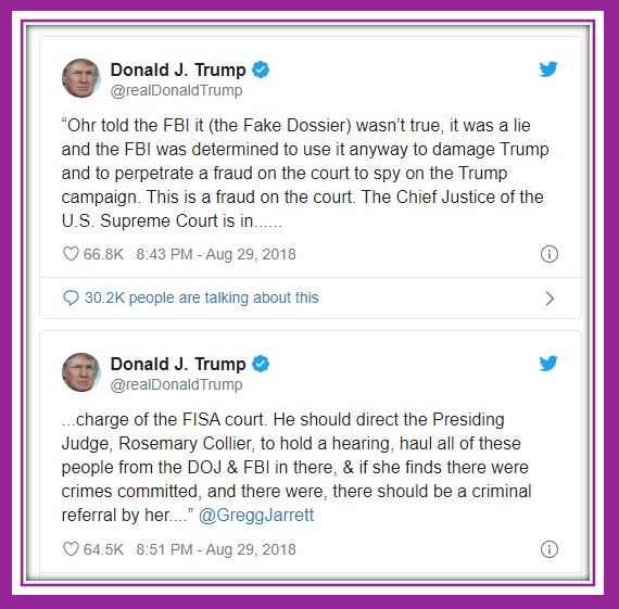 trump fisa collyer