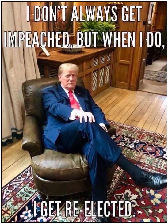 trump impeach re-elected.JPG