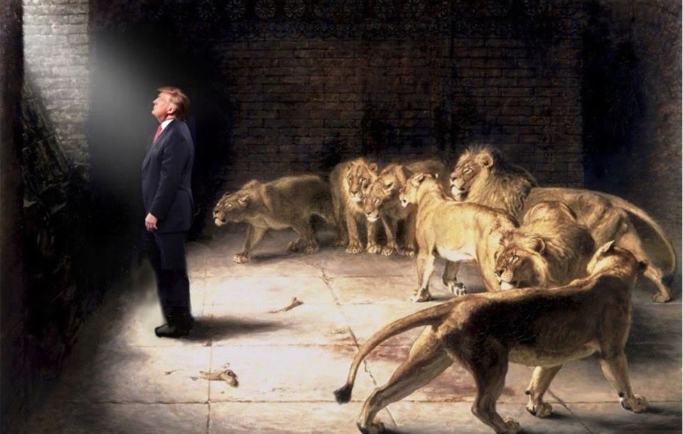 trump lion den