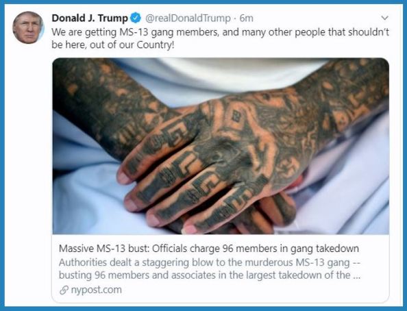 tt ms 13.JPG