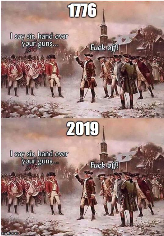 virginia gun control.JPG