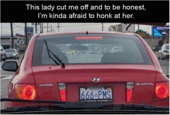 666 pms.JPG