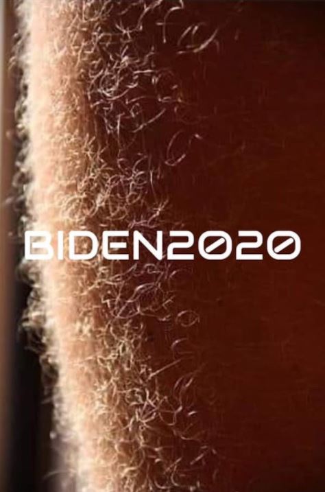 biden 2020.JPG