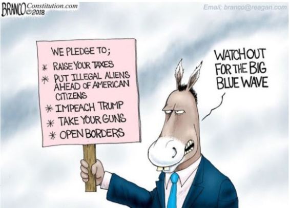 branco democrat blue wave.JPG