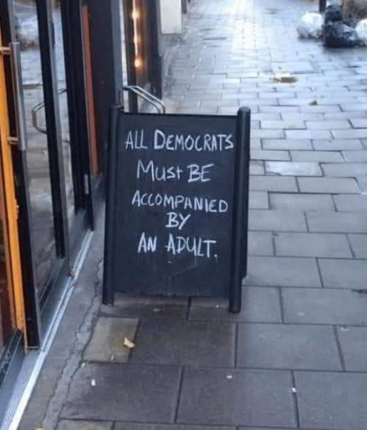 democrats need adult.JPG
