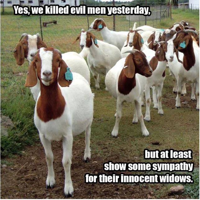 goats.JPG