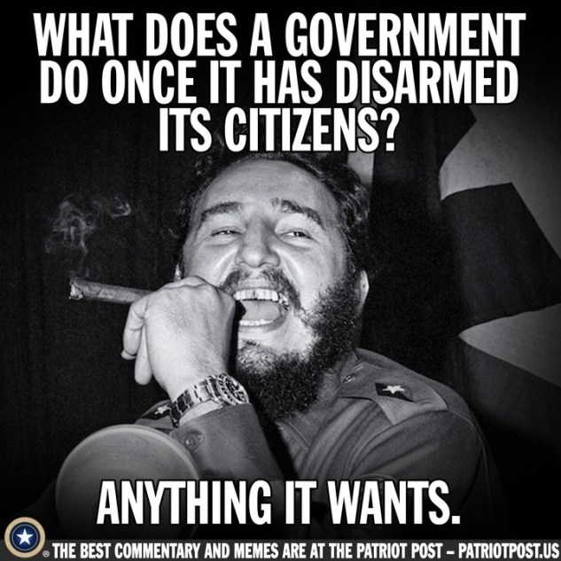 gun control castro.jpg