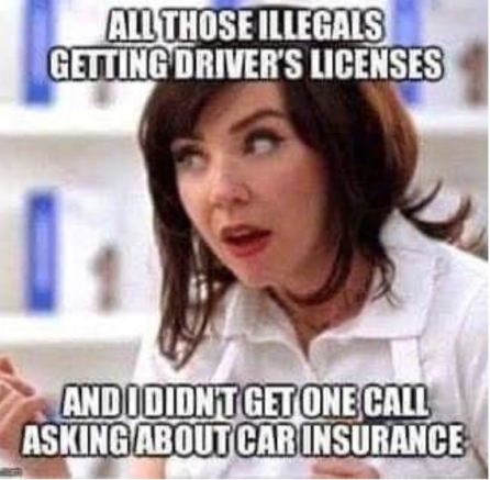 illegals car insurance.JPG