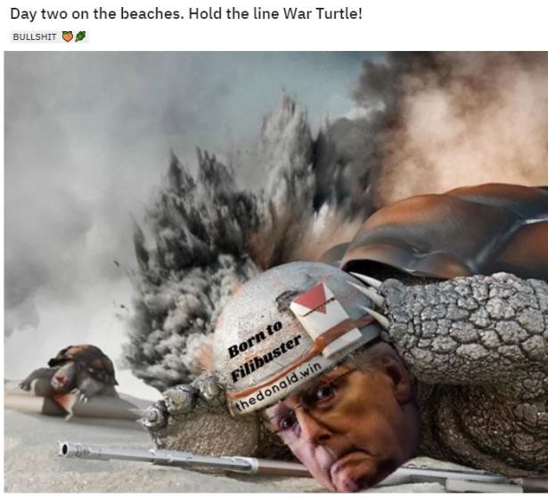 mcconnell turtle