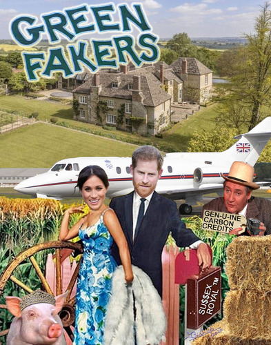 meghan harry