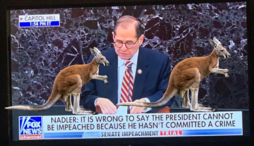 nadler kangaroo