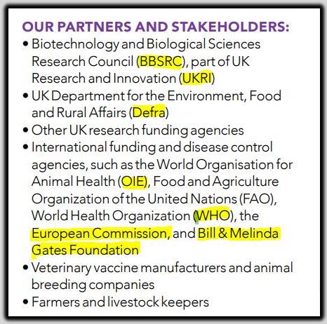 partners