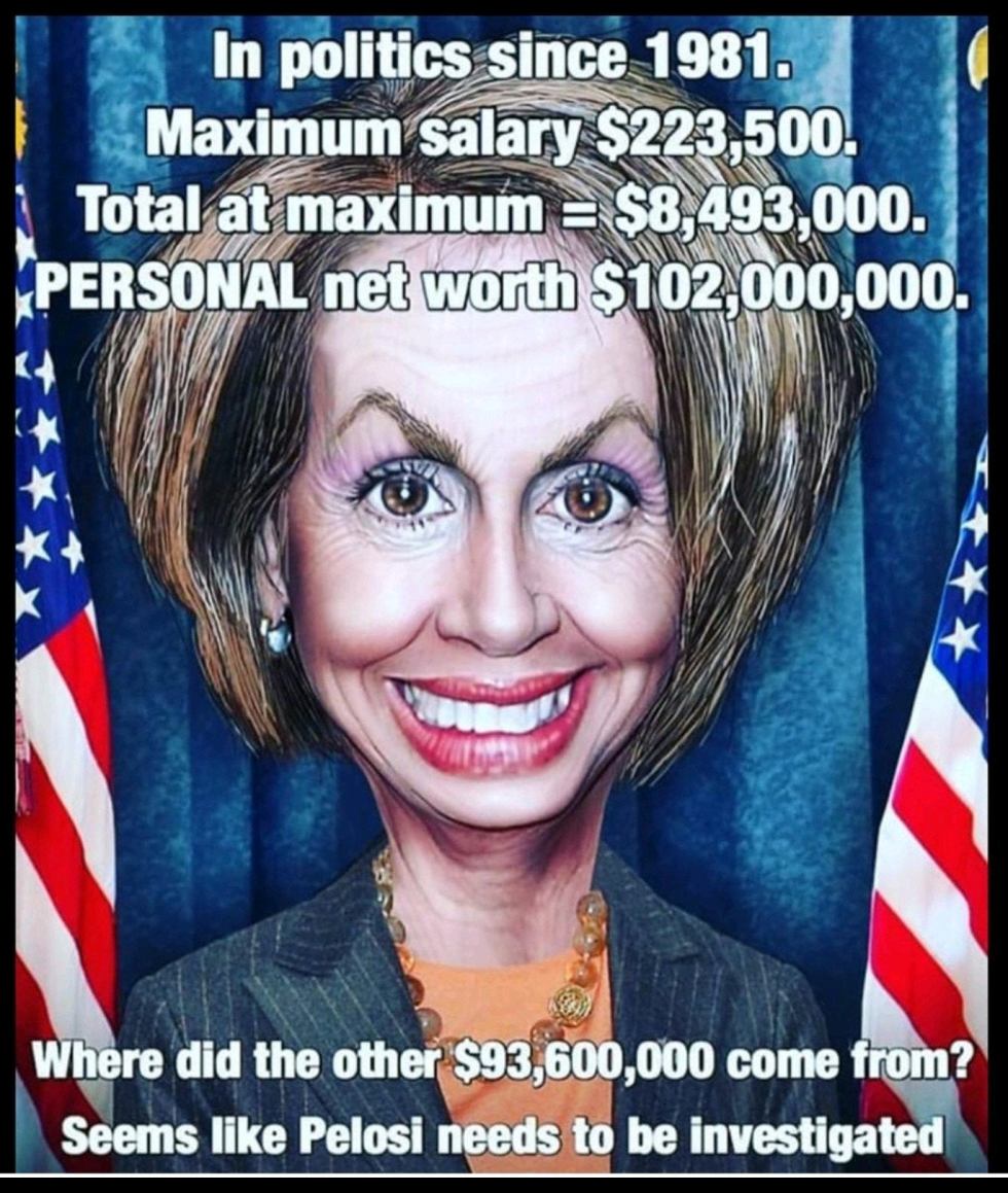 pelosi audit