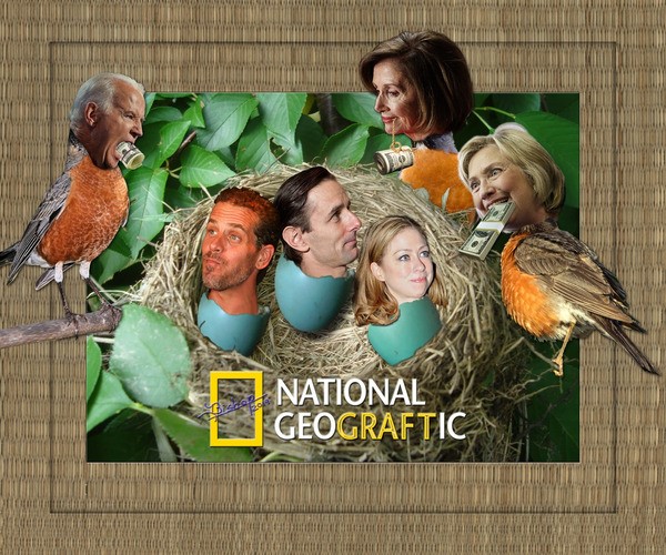 pelosi clinton hunter biden chelsea