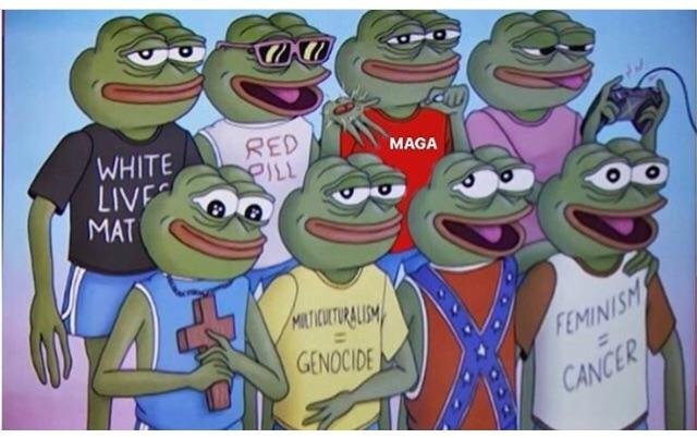 pepe diversity