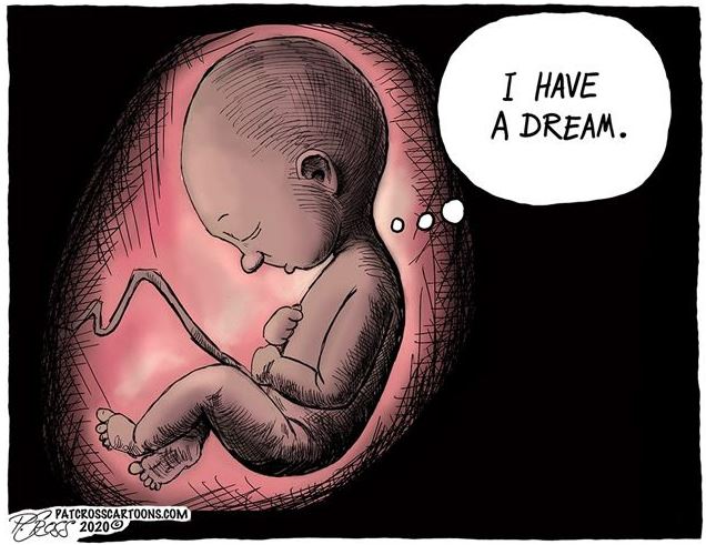 pro life 3