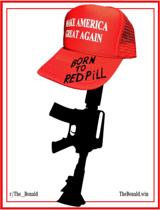 red pill gun maga hat.JPG