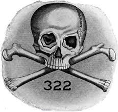 skull bones