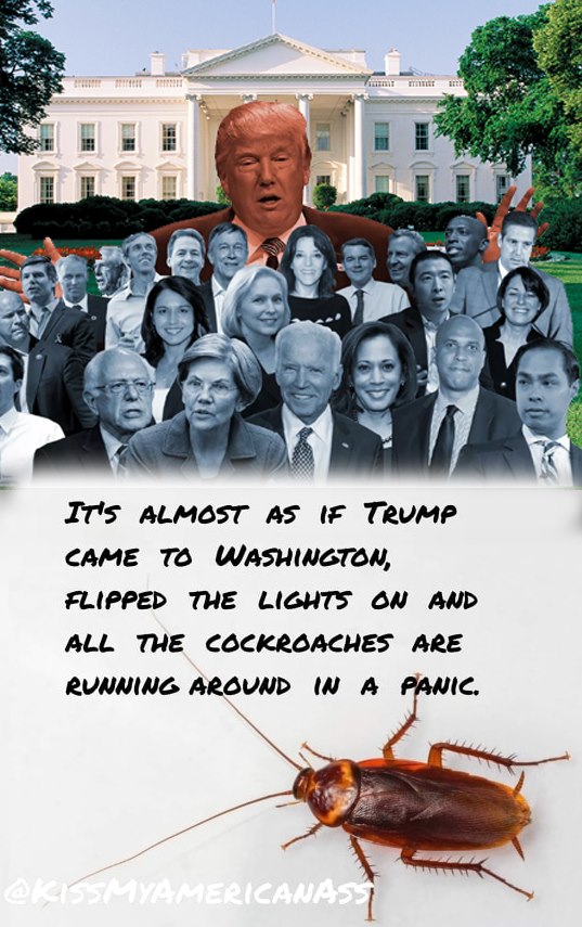 swamp cock roaches.jpg