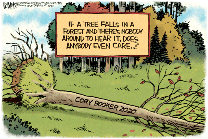 tree falls forest.png