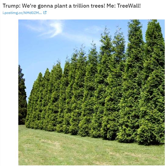 trees